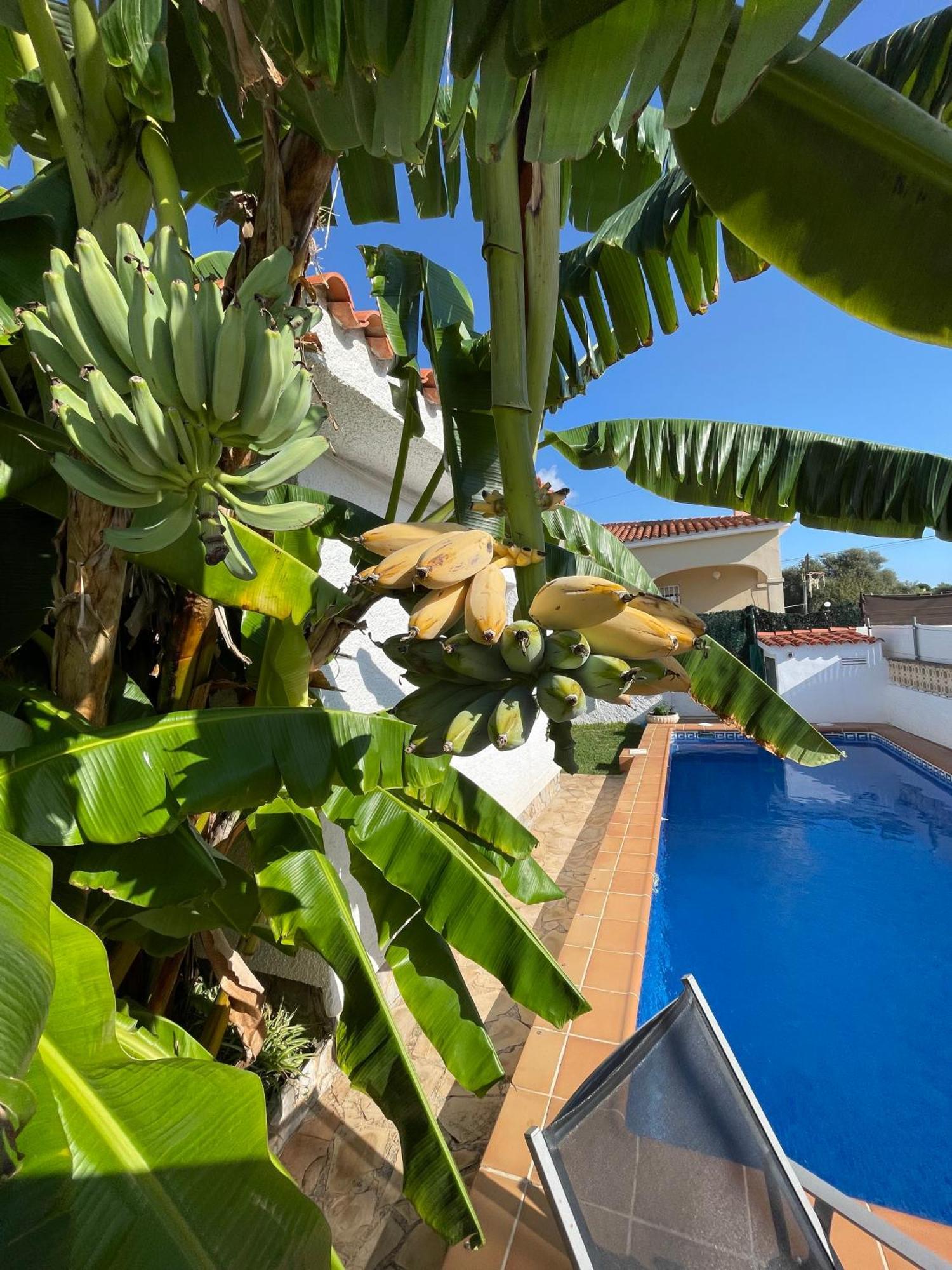 Villa Juani Vinarós Esterno foto